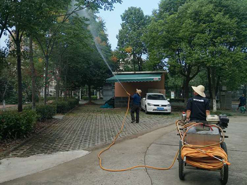 员工风采