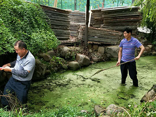 员工风采