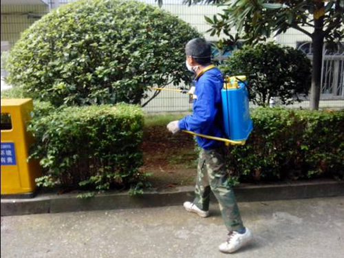 消毒杀虫服务