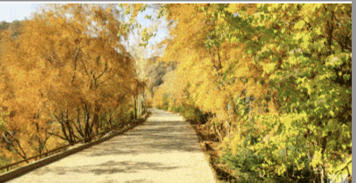 康都物业维一柳岸11月份工作简报