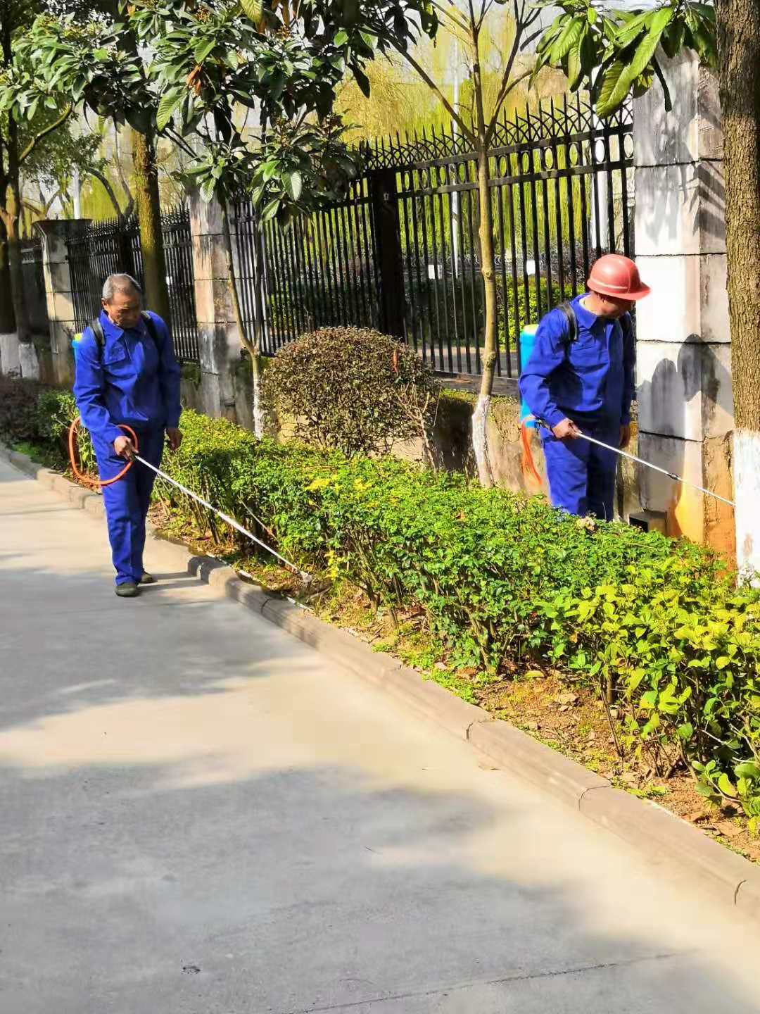 常德市康都物业服务有限公司,常德保安服务公司,保洁服务,绿化服务,搬运服务,墙外高空清洗服务